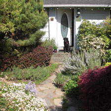 Sarah Ellis,LMP Slideshow Image6